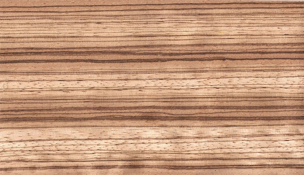 ゼブラウッド Zebra wood ゼブラノ 木材博物館